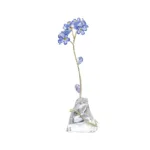 florere-forget-me-not-31050.jpg