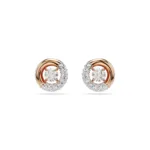 swarovski-dextera-pe-stud-cry-ros-5692258-34528.jpg